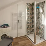 Apartament Porta Palazzo Attic